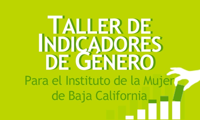 Taller de Indicadores de Género